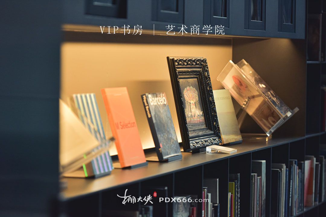 一楼 企业展厅照片 (2)VIP书房 艺术商学院 特写.jpg